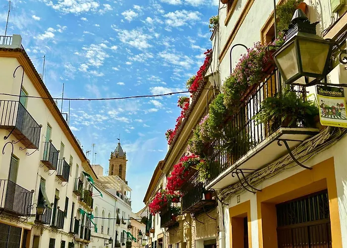 Casa Roman Vega